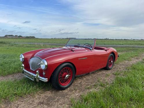 Austin Healey 100/4 1954, Auto's, Austin, Bedrijf, Te koop, Cabriolet, 2 deurs, Handgeschakeld, Rood, Overige kleuren, Ophalen