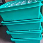 Wijn/fruitsapglazen, Enlèvement