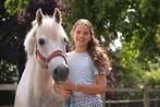 SUPER 13 jarige D pony, Dieren en Toebehoren, B, Ruin, 11 jaar of ouder, Recreatiepony