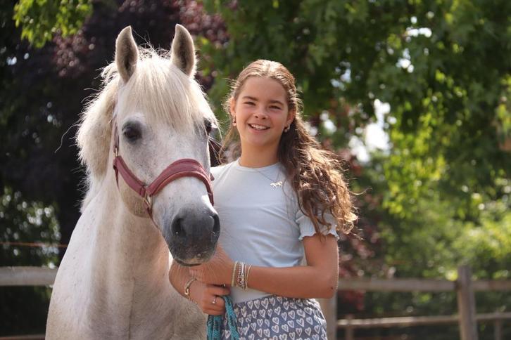 SUPER 13 jarige D pony, Dieren en Toebehoren, Pony's, Ruin, B, D pony (1.37m tot 1.48m), Recreatiepony, 11 jaar of ouder, Met stamboom
