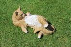 Standbeeld van een rode kat op de rug..., Ophalen, Nieuw, Dier