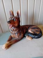 beeld van hond, Ophalen of Verzenden