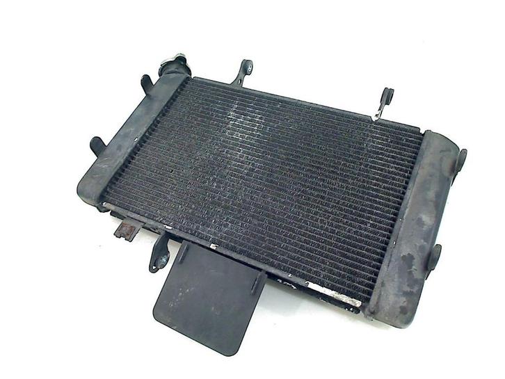RADIATEUR Suzuki DL 650 V-Strom XT 2015 (DL650), Motoren, Onderdelen | Suzuki, Gebruikt