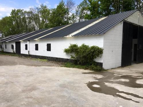 Ecurie privée des 4 vents à louer (noville Les bois), Dieren en Toebehoren, Stalling en Weidegang, Opfok, Stalling, Weidegang