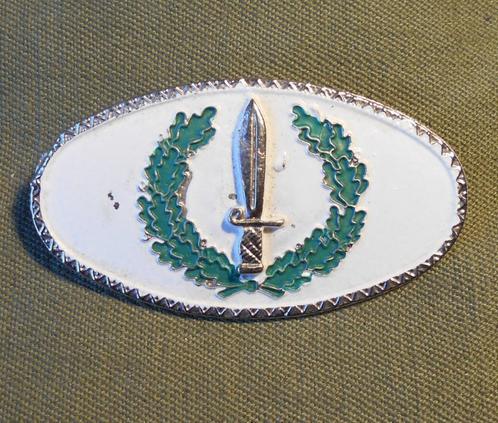 ESPAGNE / BROCHE / FORCE SPECIAL., Verzamelen, Militaria | Algemeen, Landmacht, Embleem of Badge, Verzenden