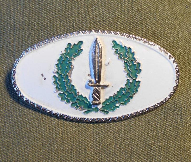 ESPAGNE / BROCHE / FORCE SPECIAL., Collections, Objets militaires | Général, Armée de terre, Envoi