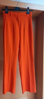 Nieuwe oranje broek Zara XS, Zara, Nieuw, Oranje, Ophalen of Verzenden