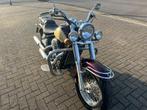 Kawasaki nv 800 cc chopper, Motoren, Motoren | Kawasaki, Particulier, 4 cilinders, Chopper, 800 cc