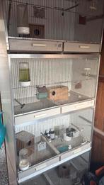 Kweekbakken, Dieren en Toebehoren, Vogels | Hokken en Kooien, Ophalen of Verzenden