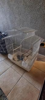 Vogelkooi met toebehoren, Enlèvement, Utilisé, Aluminium, Cage à oiseaux
