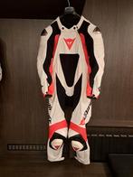 Dainese Redline racesuit m50, Motos, Vêtements | Vêtements de moto