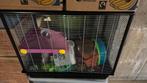 Kooi voor hamsters of tamme ratjes., Dieren en Toebehoren, Ophalen, Zo goed als nieuw, Kooi