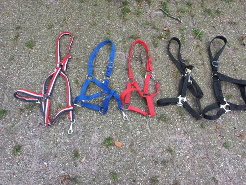 Nieuwe paarden en pony halsters diversen maten, Dieren en Toebehoren, Paarden en Pony's | Hoofdstellen en Tuigage, Nieuw, Ophalen