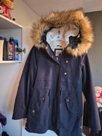 Nieuw jas clockhouse maat 38, Kleding | Dames, Ophalen of Verzenden, Nieuw, Maat 38/40 (M)