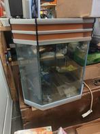 Aquarium hexagonal, Dieren en Toebehoren, Vissen | Aquaria en Toebehoren, Ophalen, Zo goed als nieuw, Leeg aquarium