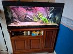Aquarium JUWEL 120 cm met meubel en decor 'back to nature', Dieren en Toebehoren, Ophalen, Zo goed als nieuw, Overige typen