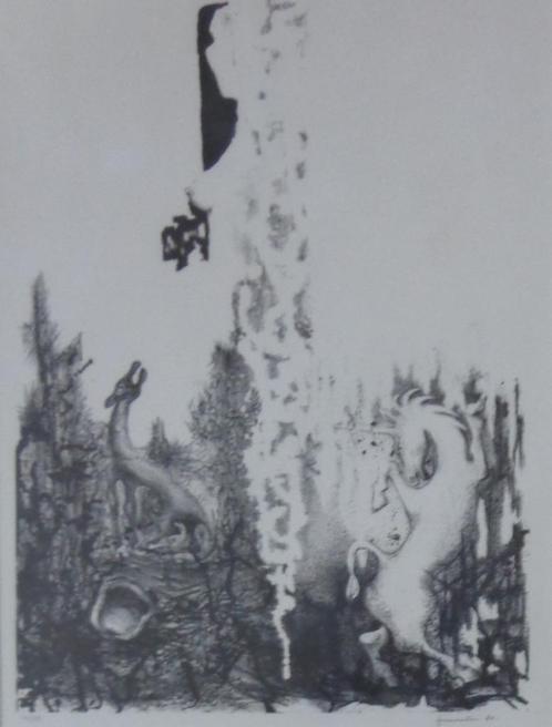 JAN VAERTEN / FIGURATIE / ZW-W LITHO / 83x63cm / KADER / SIG, Antiek en Kunst, Kunst | Litho's en Zeefdrukken, Ophalen