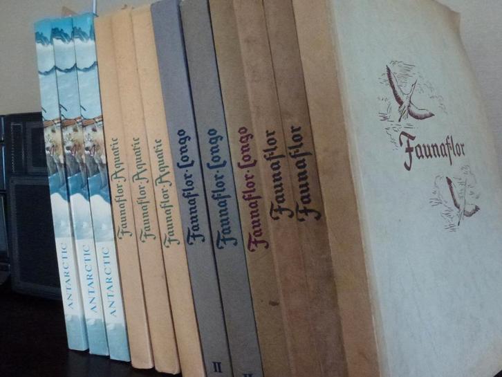 Côte d'Or albums, Boeken, Prentenboeken en Plaatjesalbums, Gelezen, Plaatjesalbum, Ophalen of Verzenden