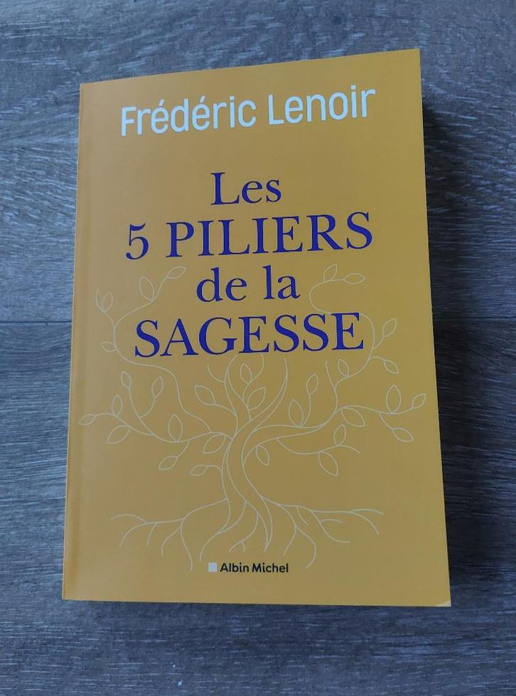 Livre "Les 5 piliers de la sagesse" de Frédéric Lenoir, Boeken, Filosofie, Zo goed als nieuw, Algemeen, Ophalen of Verzenden