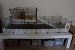 Draadkubus caviakooi, Dieren en Toebehoren, Ophalen, 60 tot 90 cm, Hok, Cavia