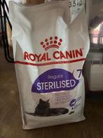 Katteneten, Dieren en Toebehoren, Ophalen, Kat