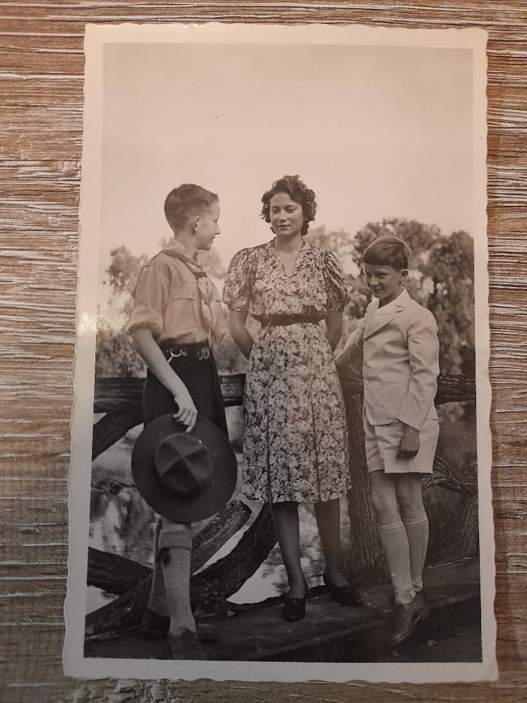 koningshuis diverse kaarten, Collections, Maisons royales & Noblesse, Utilisé, Enlèvement ou Envoi