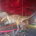 Exposition de dinosaures complète, Divers, Comme neuf, Enlèvement, Cirque forain caravane