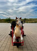 Dubbele gocart paard, Ophalen, Gebruikt, Overige merken, Duozit