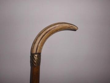 ancienne canne en bois avec pommeau dent de phacochere, Enlèvement ou Envoi