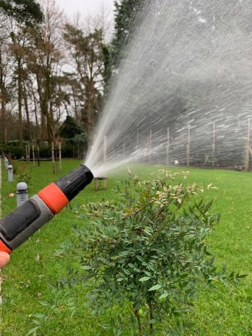 Waterput boren, Jardin & Terrasse, Arroseurs de jardin, Neuf, Arroseur manuel, Enlèvement ou Envoi