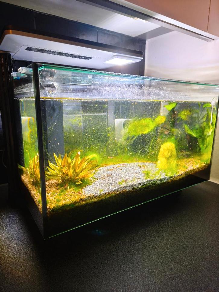 Aquarium 45CM*25CM*25CM, Animaux & Accessoires, Poissons | Aquariums & Accessoires, Comme neuf, Aquarium d'eau douce rempli, Enlèvement