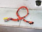 DIVERSEN HV kabel (hoog voltage) Dacia Spring (01-2020/-), Gebruikt, Dacia