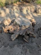 Stronk voor brandhout, Tuin en Terras, Ophalen