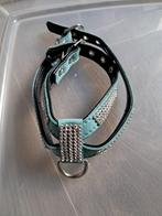 Harnais en cuir  bleu petit chien, Enlèvement, Comme neuf