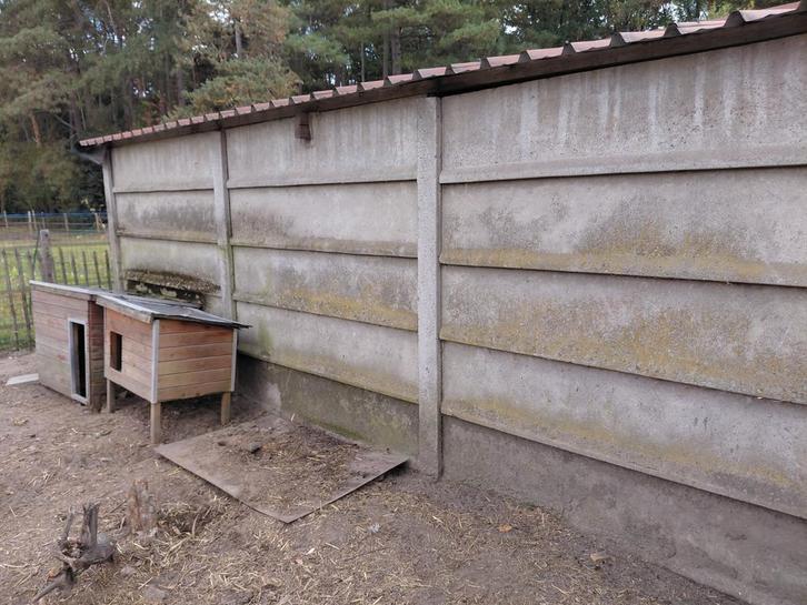 *gratis* Betonpanelen schuur, Doe-het-zelf en Bouw, Overige Doe-Het-Zelf en Bouw, Ophalen