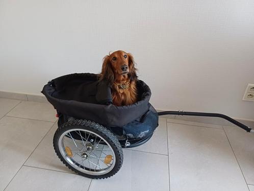 Fietskar voor hond of andere lading/boodschappen, Fietsen en Brommers, Fietsaccessoires | Aanhangwagens en Karren, Gebruikt, Hondenkar