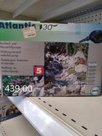 Oase Vijverpomp Atlantis 12000L, Tuin en Terras, Vijver-toebehoren, Ophalen of Verzenden, Nieuw, Vijverpomp