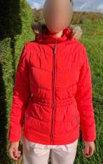 Skijas PROTEST (maat 176 of XS), Sport en Fitness, Skiën en Langlaufen, Gebruikt, Protest, Ophalen of Verzenden, Kleding