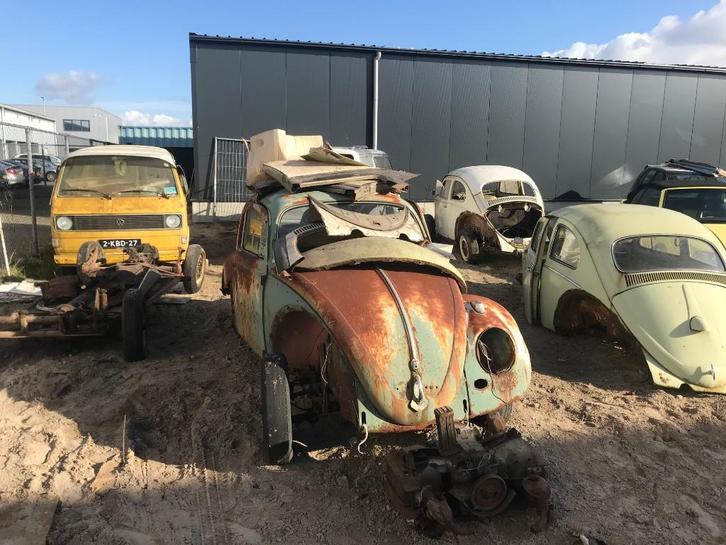 4 X VW kever 1959 1960 1961 en 1967 in 1 koop, Auto's, Oldtimers, Bedrijf, Te koop, Volkswagen, Ophalen