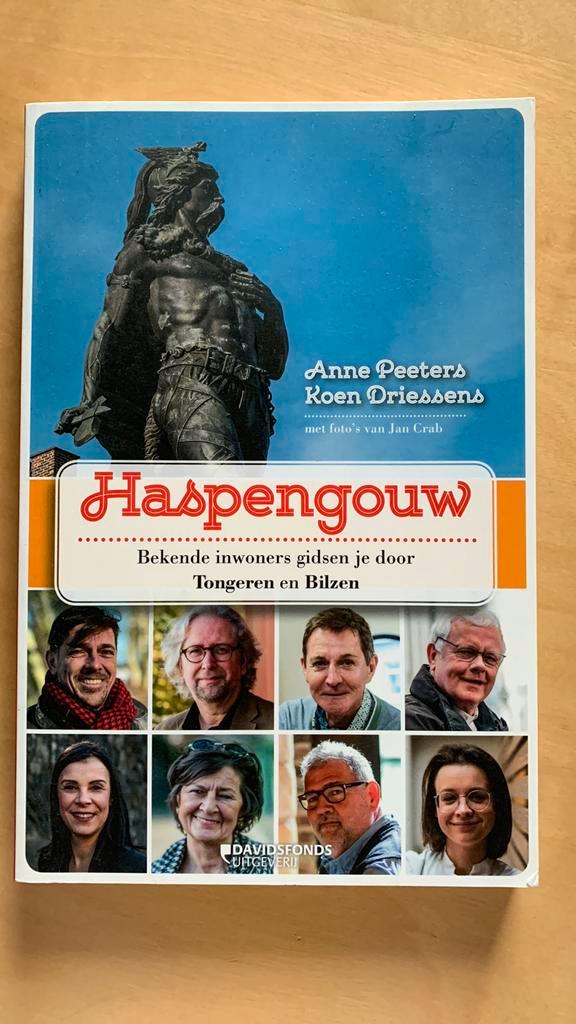 Koen Driessens - Haspengouw, Boeken, Reisgidsen, Zo goed als nieuw, Ophalen of Verzenden