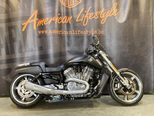 Harley-Davidson Chopper V-Rod Muscle VRSCF (bj 2017), Motoren, Motoren | Harley-Davidson, Bedrijf, Overig