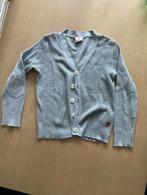 gilet AO - grijs - 6 jaar, Gebruikt, Jongen of Meisje, Trui of Vest, AO76 American Outfitters
