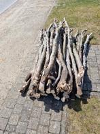 Gratis Brandhout, Tuin en Terras, Brandhout, Ophalen