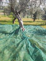 Huile d'olive 100%pure et sans additif, Divers, Enlèvement