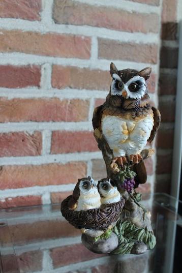 Series uiltjes, owls, hiboux.  beschikbaar voor biedingen