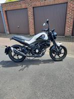 Benelli 125 leoncino, Particulier