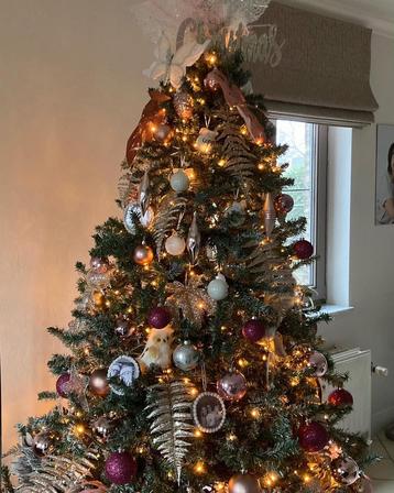 Kerstboom beschikbaar voor biedingen