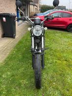 mash fifty, Jusqu'à 11 kW, Particulier, 50 cm³