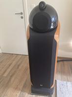 B&W 802D (Bowers & Wilkins), Audio, Tv en Foto, Luidsprekerboxen, Ophalen, Zo goed als nieuw, Bowers & Wilkins (B&W), 120 watt of meer