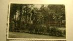 postkaart Westmalle.  Drie Boomkensberg, Verzamelen, Ophalen of Verzenden, Ongelopen, Antwerpen